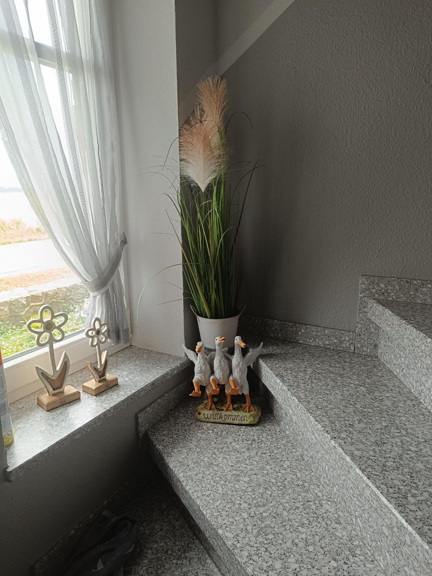 Appartement Marschblick à Sudermarsch Extérieur photo